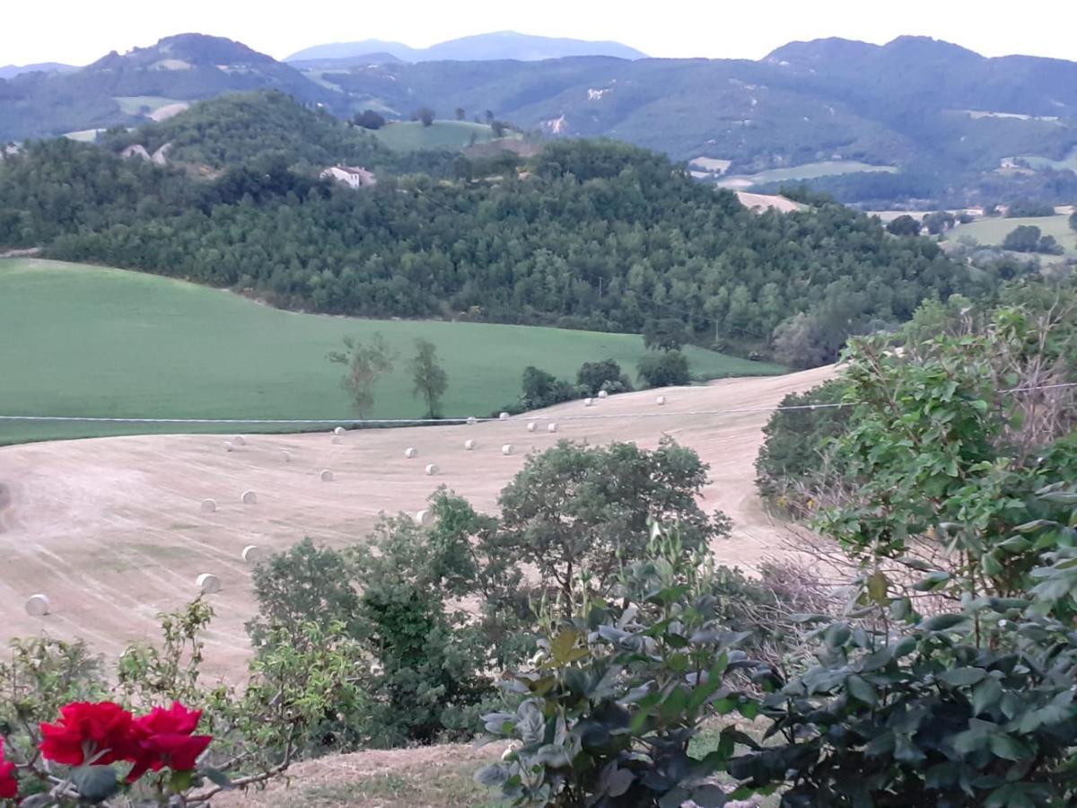 Ca' Gulino - Urbino - Villa Con Minipiscina In Borgo Antico Bagian luar foto