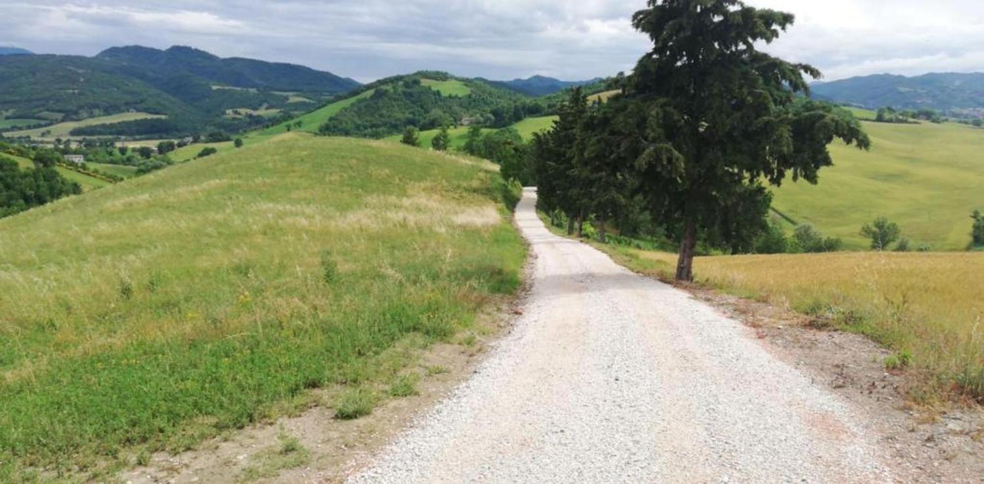 Ca' Gulino - Urbino - Villa Con Minipiscina In Borgo Antico Bagian luar foto