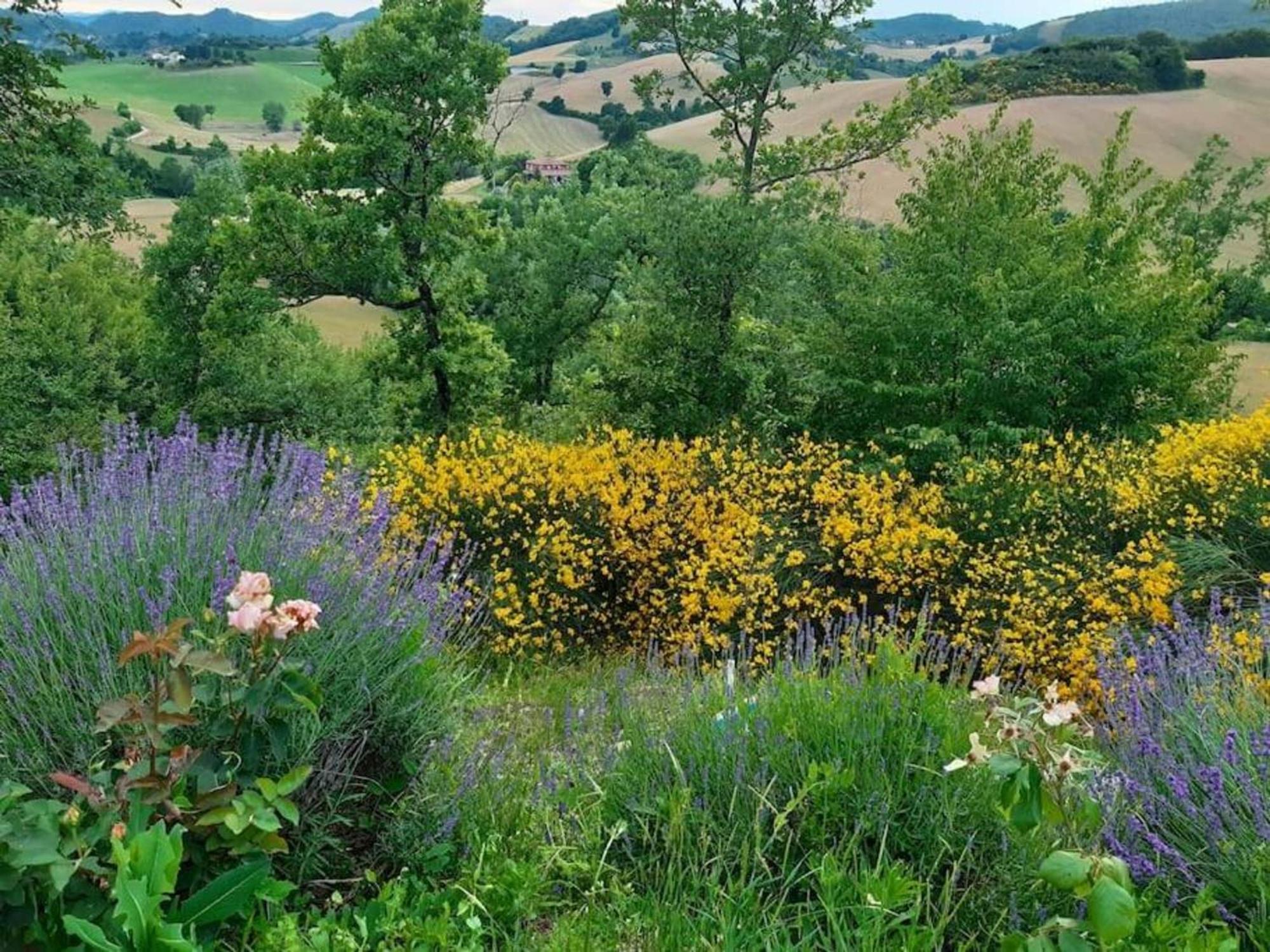 Ca' Gulino - Urbino - Villa Con Minipiscina In Borgo Antico Bagian luar foto