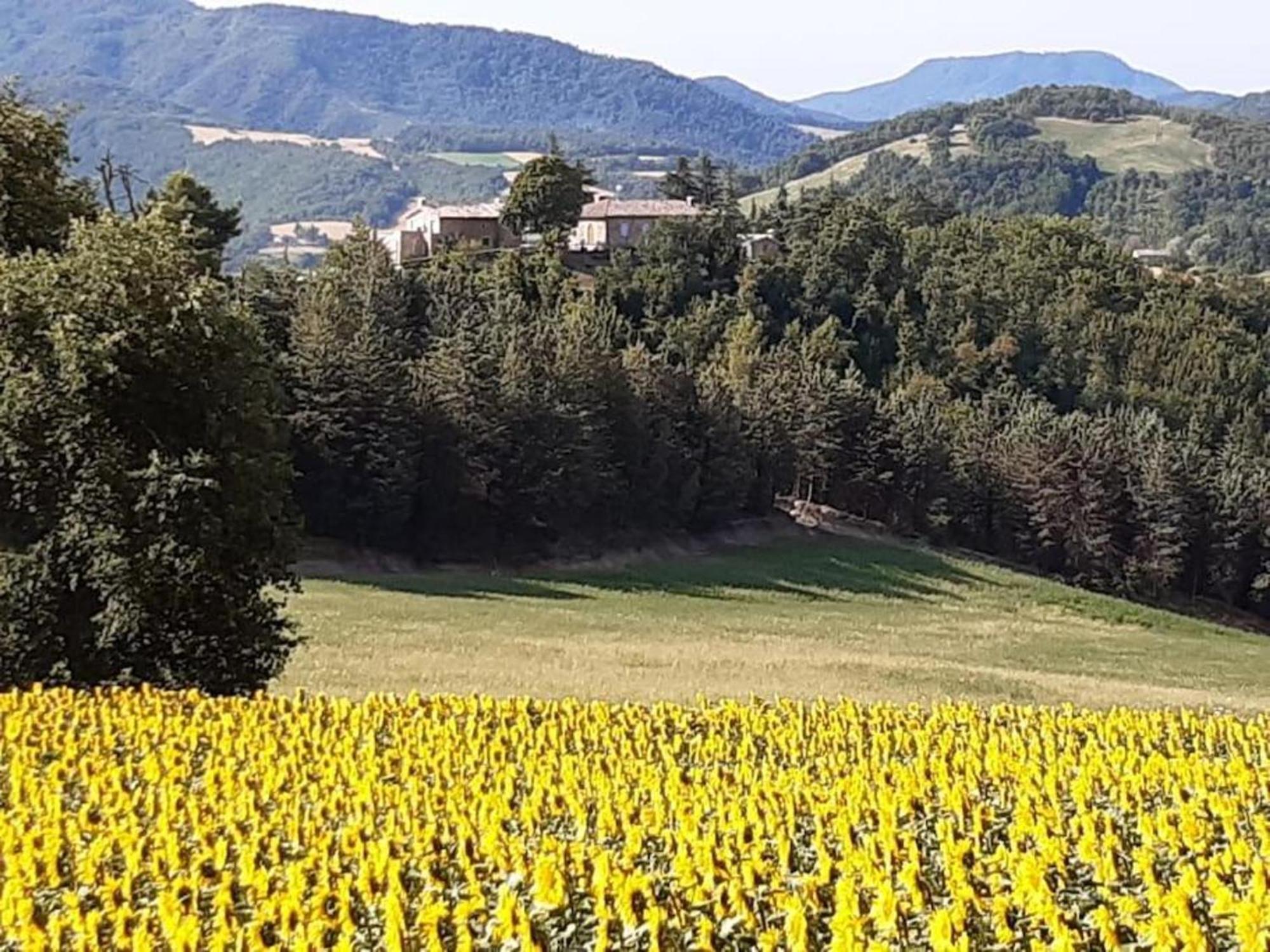 Ca' Gulino - Urbino - Villa Con Minipiscina In Borgo Antico Bagian luar foto